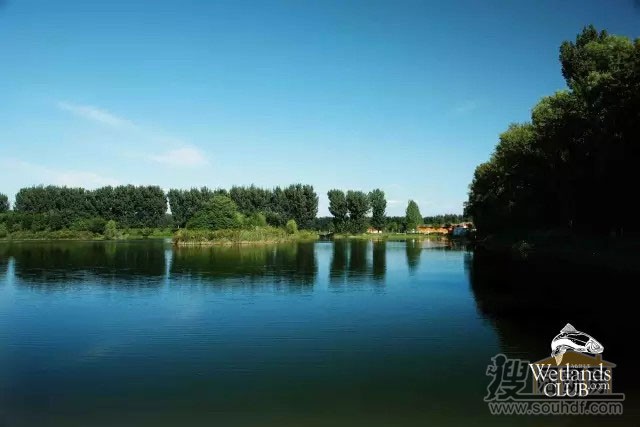 順義濕地公園的風光